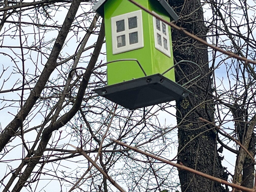 23-03-17 12-25-27 4906